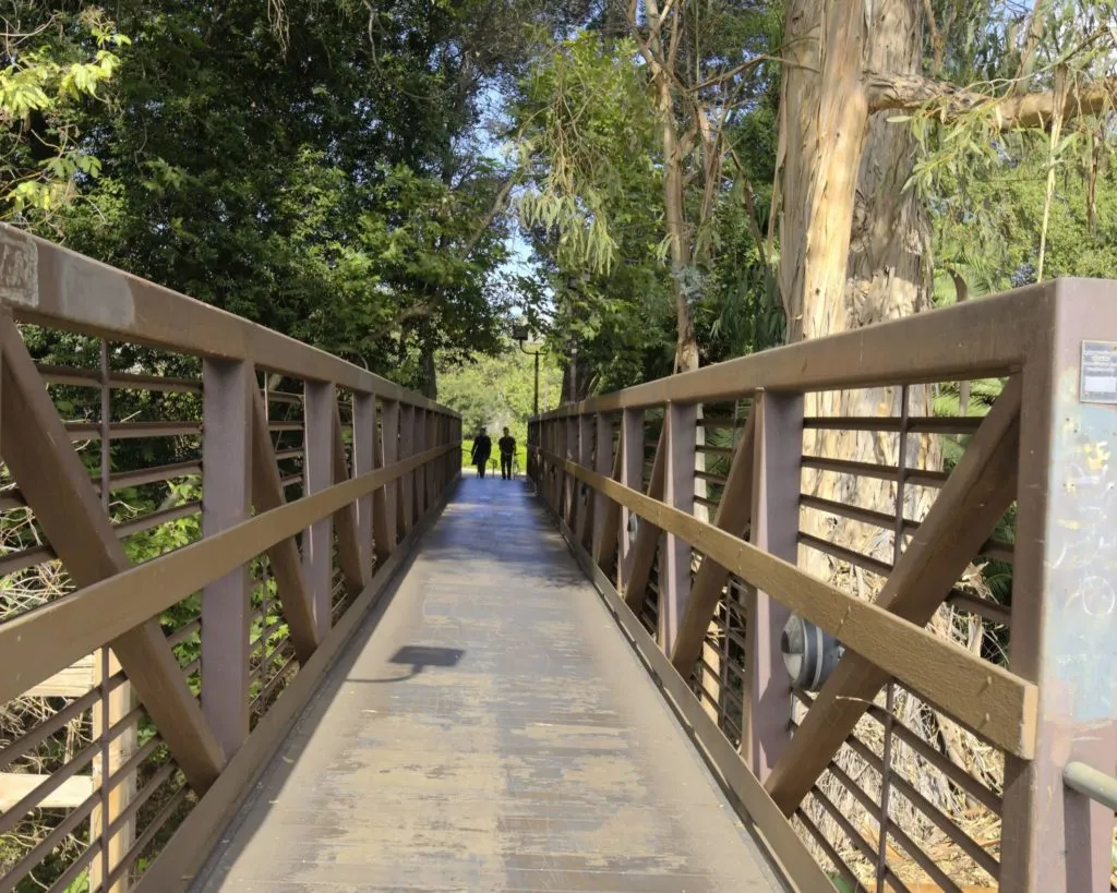 bridge