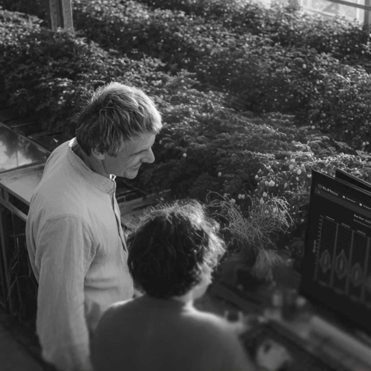 Researchers in a greenhouse analyzing plant data on a computer screen displaying crop performance metrics.