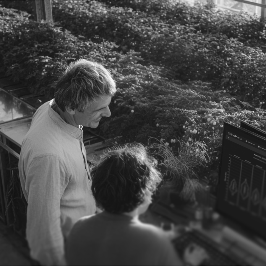 Researchers in a greenhouse analyzing plant data on a computer screen displaying crop performance metrics.