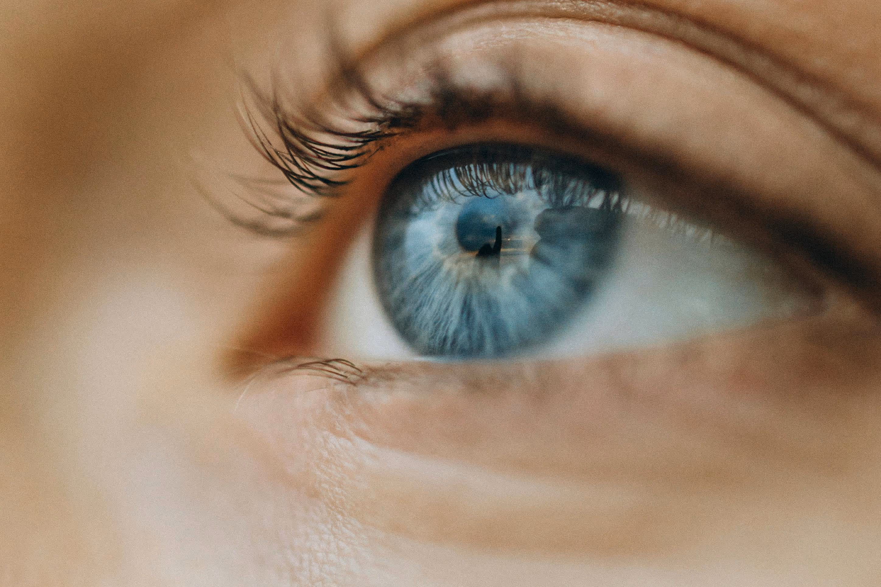 Oeil d'une femme symbolisant la lecture des articles