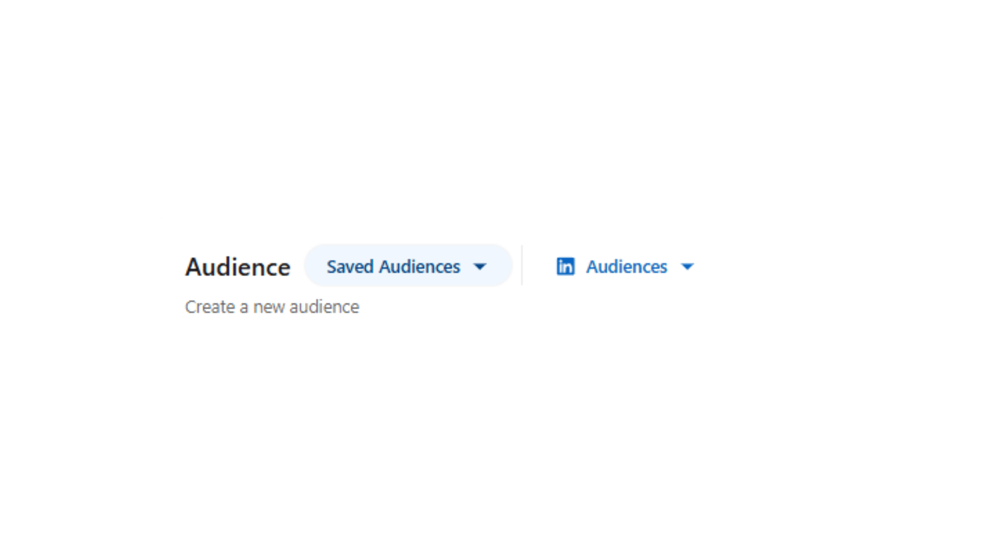 Audiences registrées dans LinkedIn