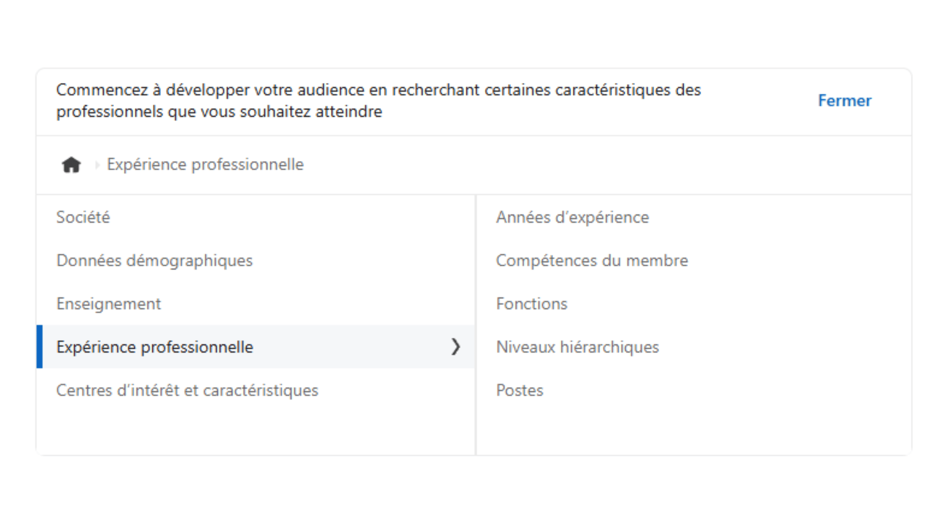 Attributs de l'audience LinkedIn avec le segment Expérience professionnelle