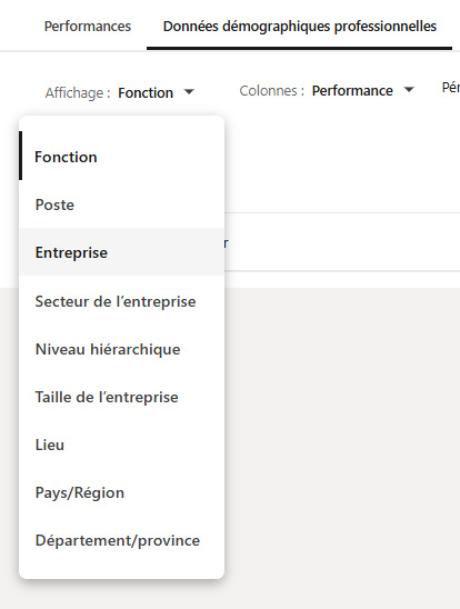 Données démographiques professionnelles des campagnes linkedin ads avec le filtre entreprise