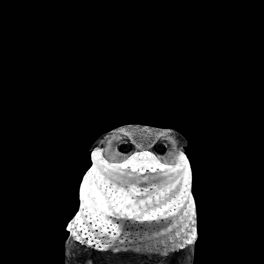 Opposite OWL project 