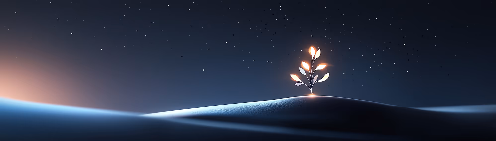 Glowing stylized plant with illuminated leaves growing on a smooth dark hill under a starry night sky.