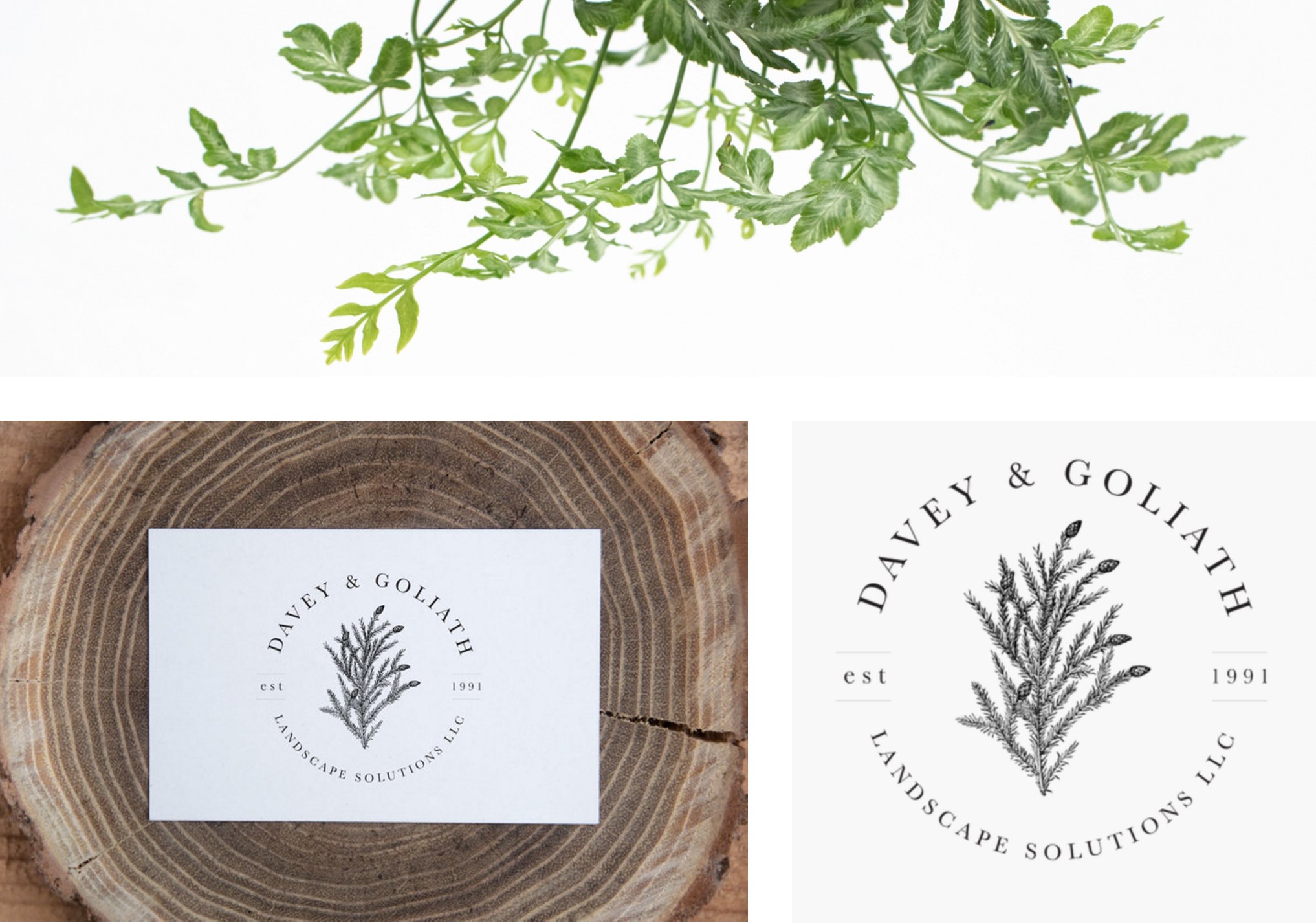 DaveyAndGoliath-SCCA-Alumni (1)