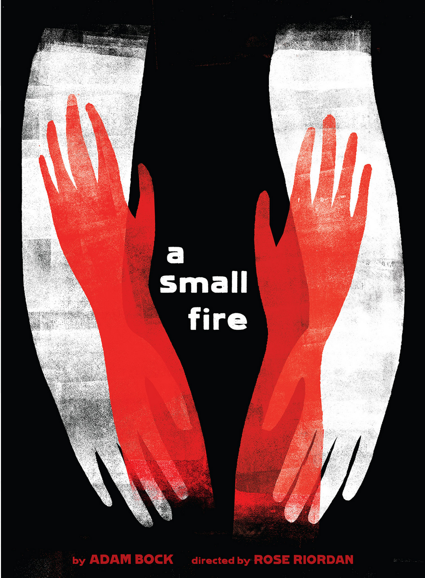 On the NYT short list of best theater posters 2014.