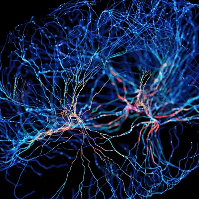 Conceptual image of neurons
