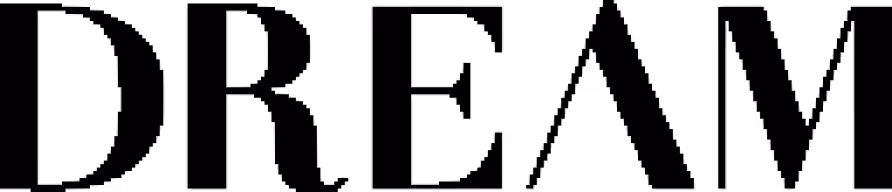 dream-security-logo