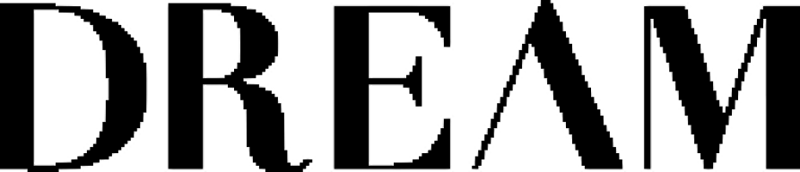 dream-security-logo