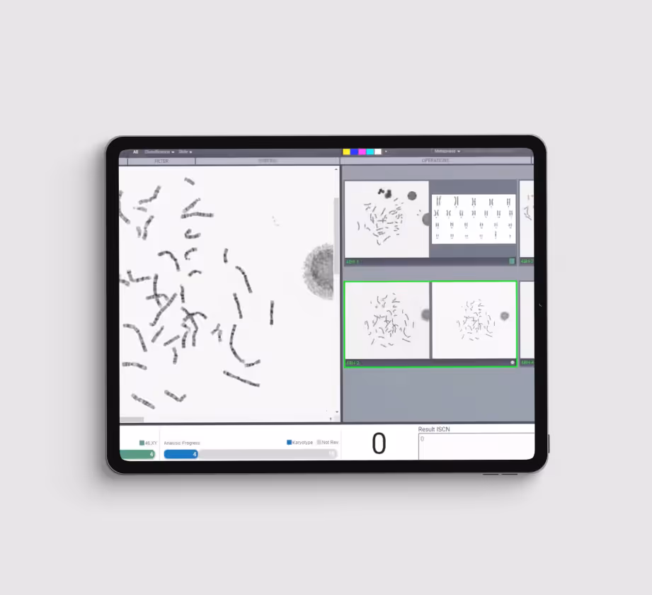 Video Tutorials