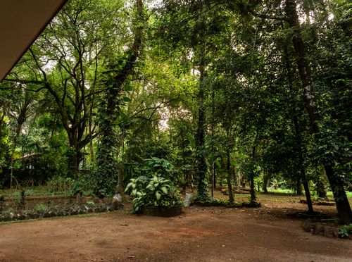 Photo of the surrounding