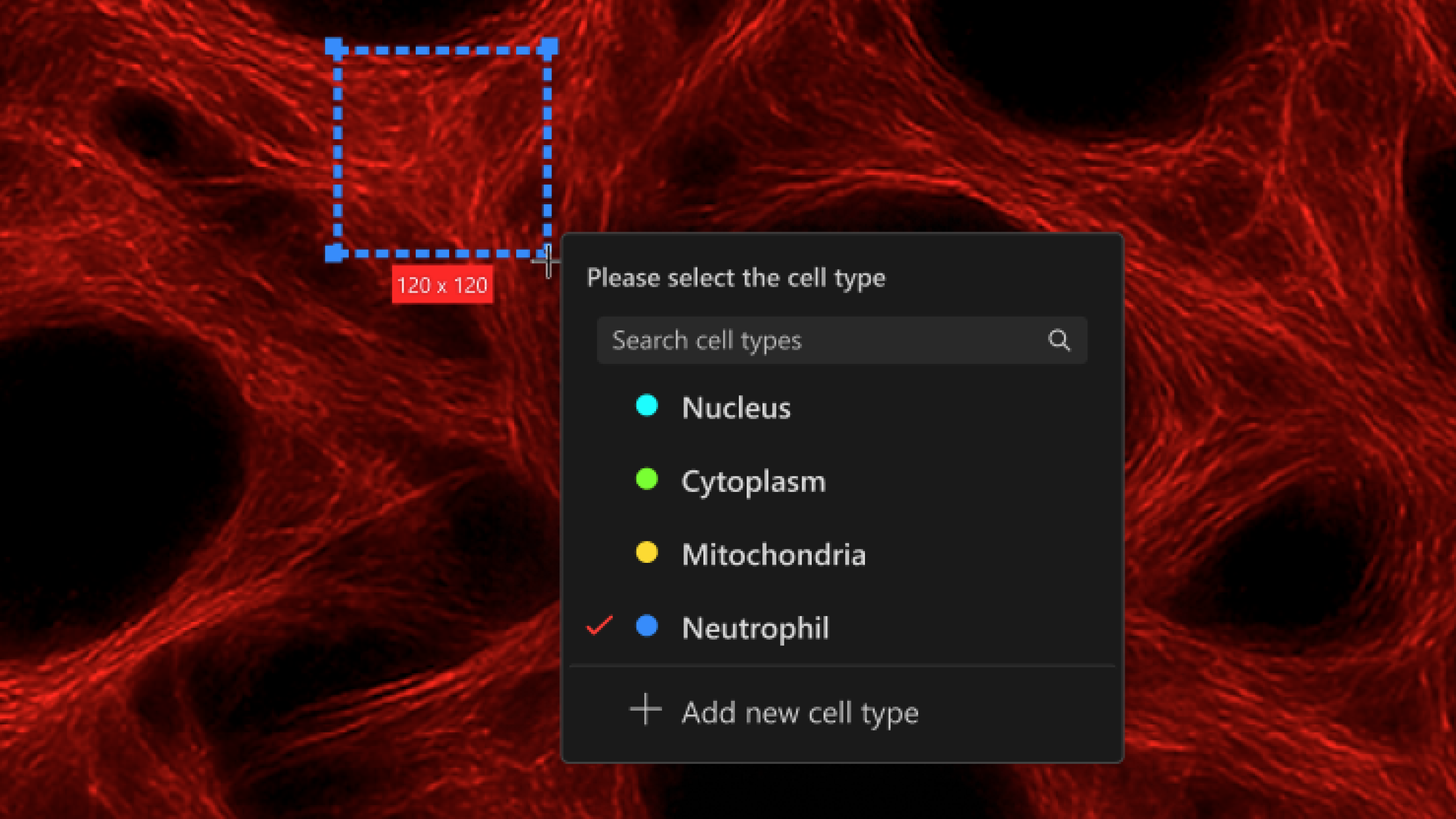 Search bar with border contrast increased from 1.71:1 to 3.03:1