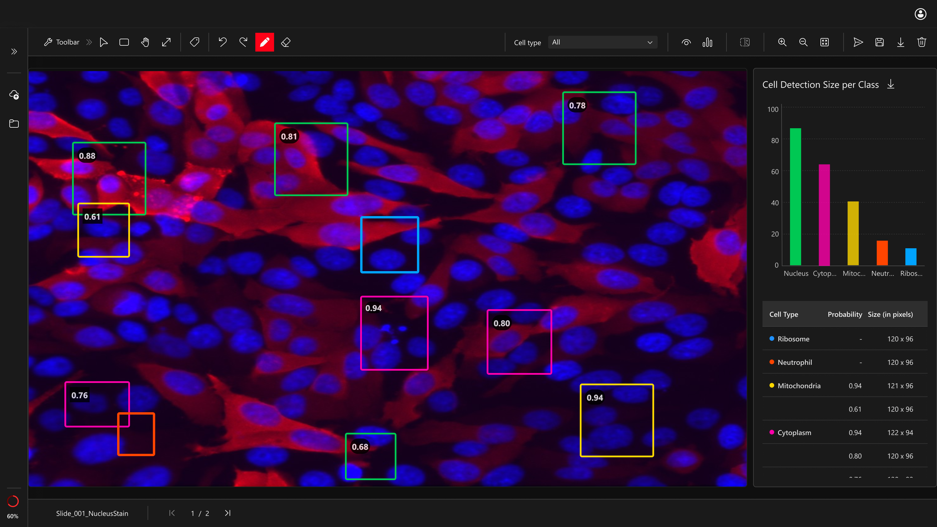 Microscopy image with blue nuclei and red tissue. AI bounding boxes use Palette B (lime, magenta, amber, cyan, orange-red)