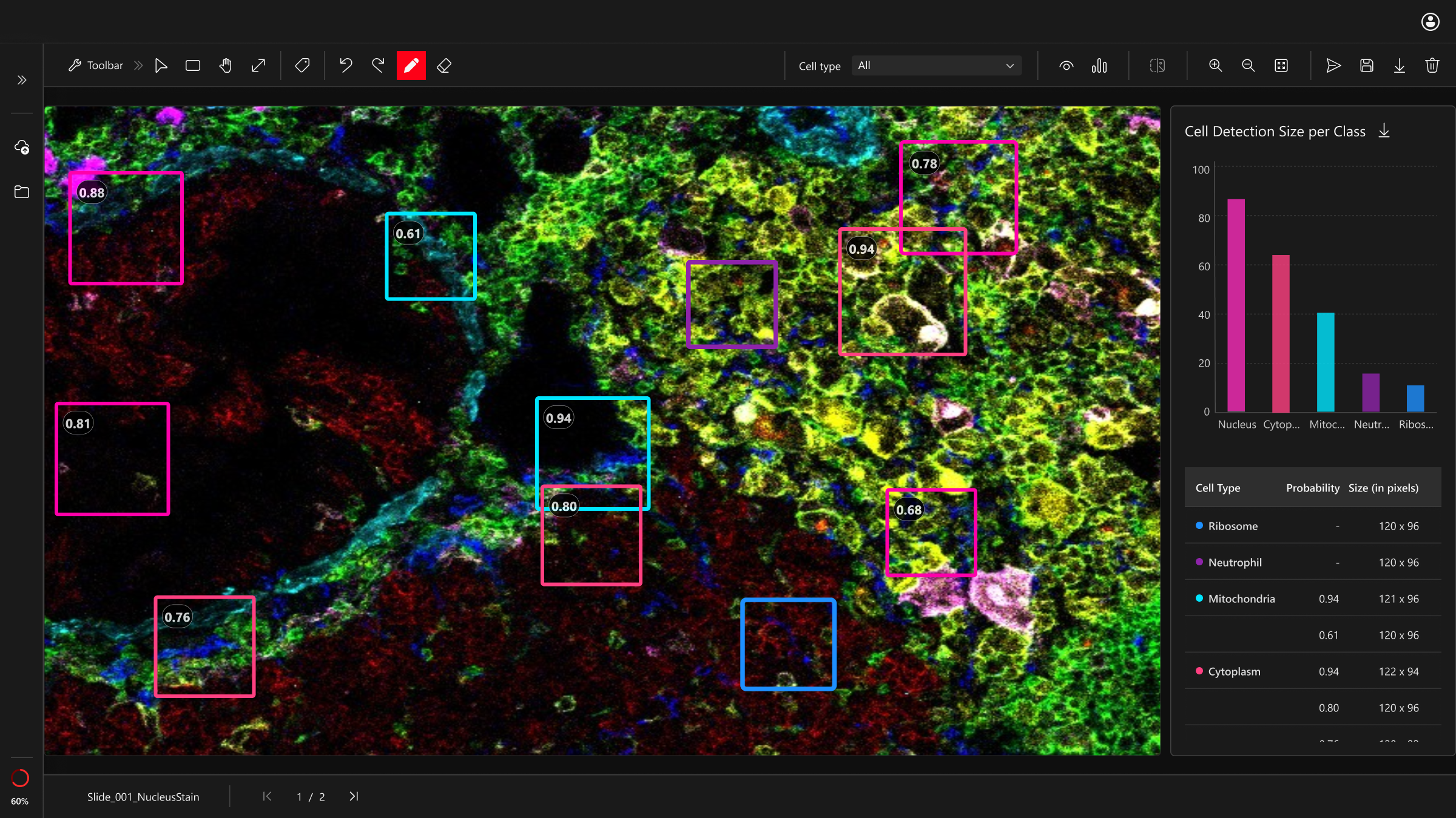Microscopy image with mixed green/red tissue and blue nuclei; AI boxes use Palette C (magenta #FF00AA, pink #FF4081, cyan #00E5FF, violet #8E24AA, blue #1E90FF) for clear contrast.