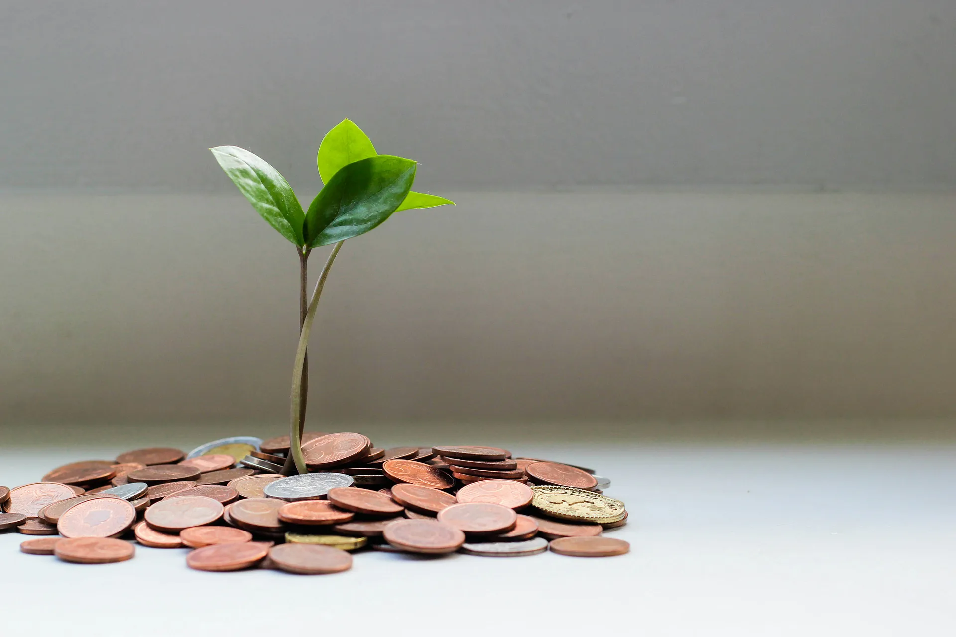 Small green plant growing from a pile of coins, symbolizing financial growth and investment