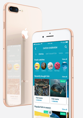 Rose gold smartphone displaying a fishing app with sections for fresh catches, recently bought fish, and popular fish in season.