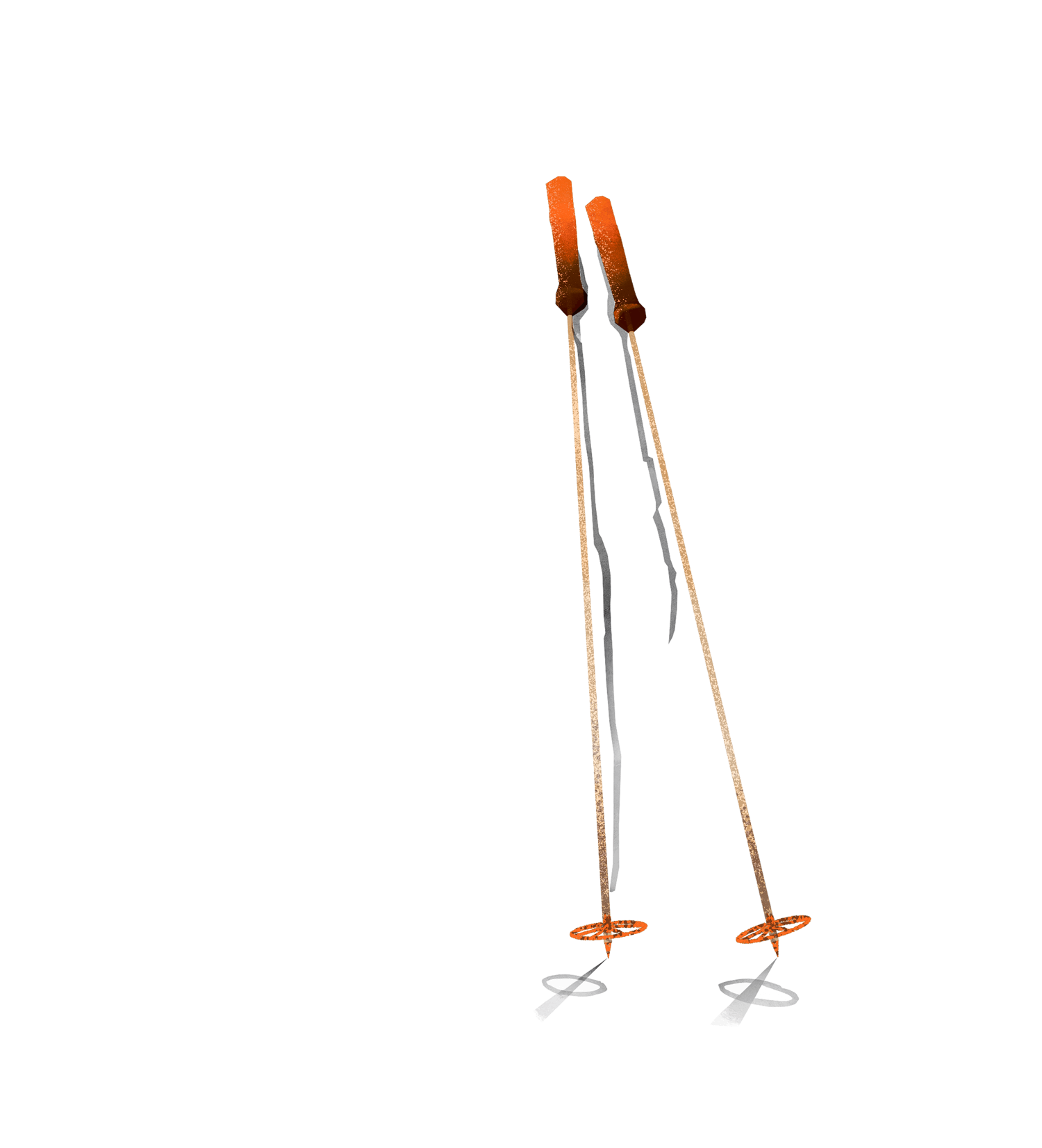 walking sticks