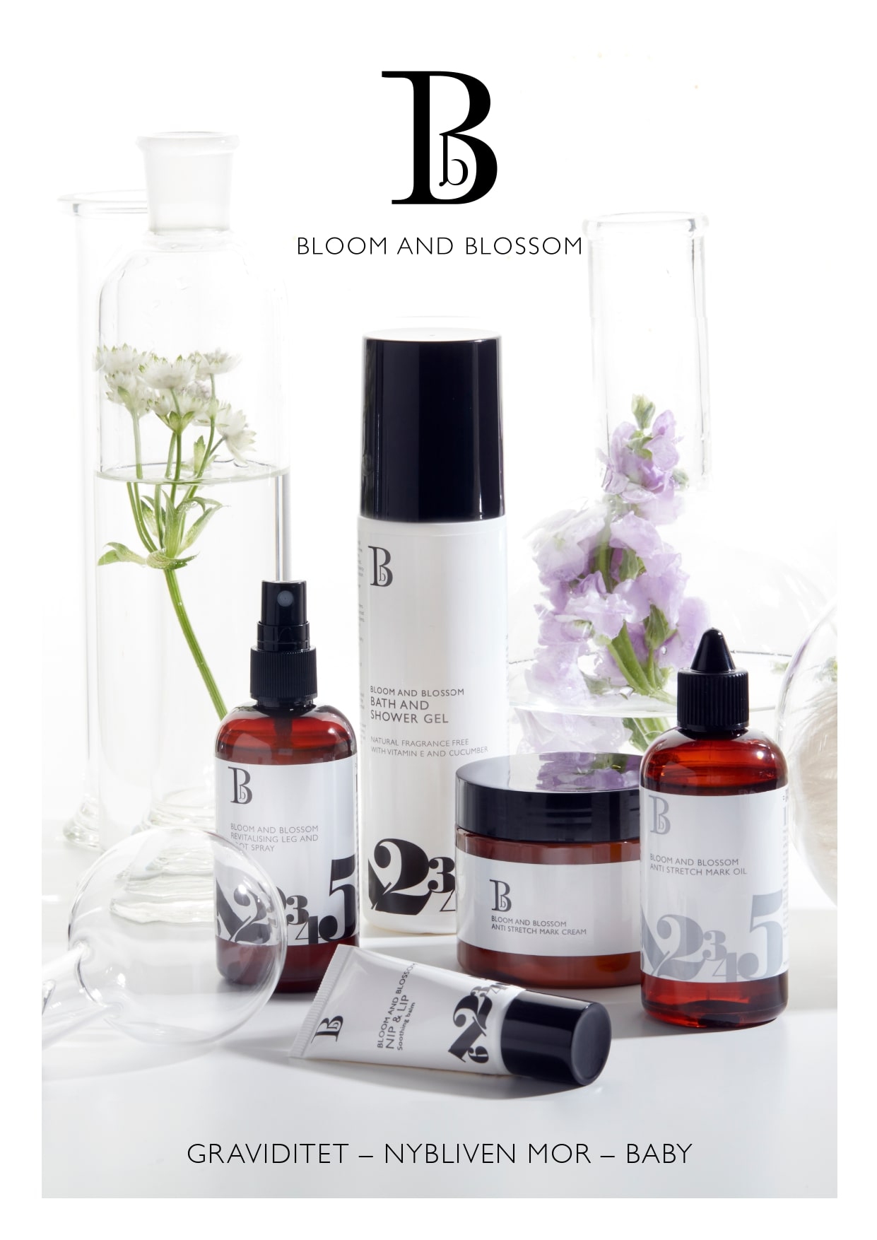Bloom And Blossom - Presentation