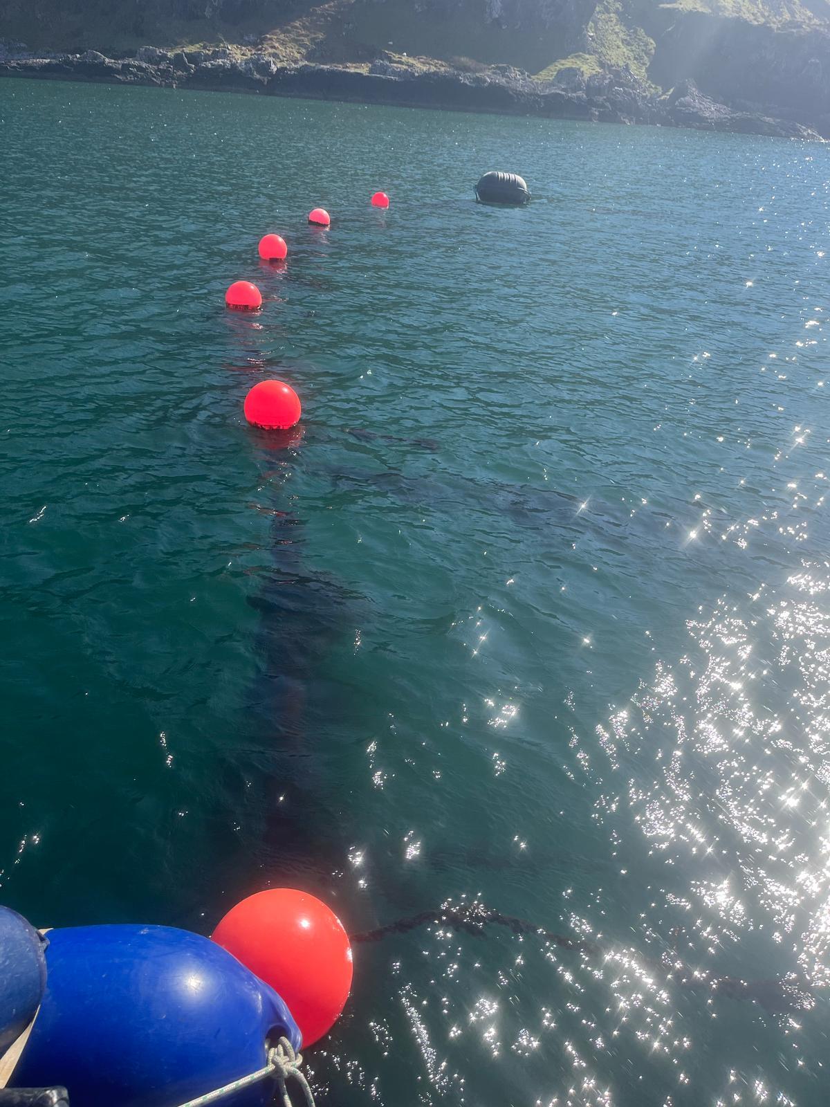 Floating buoys in Samudra farm at Oban