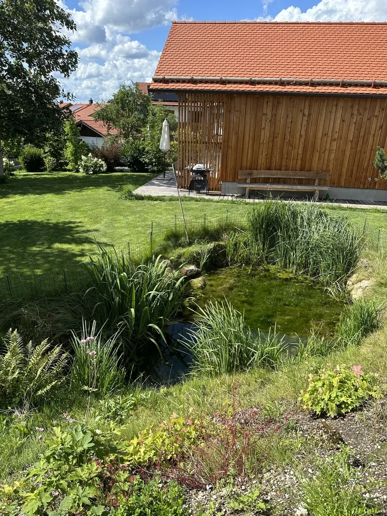 Naturteich im Garten, dahinter das Holzchalet mit Grillplatz