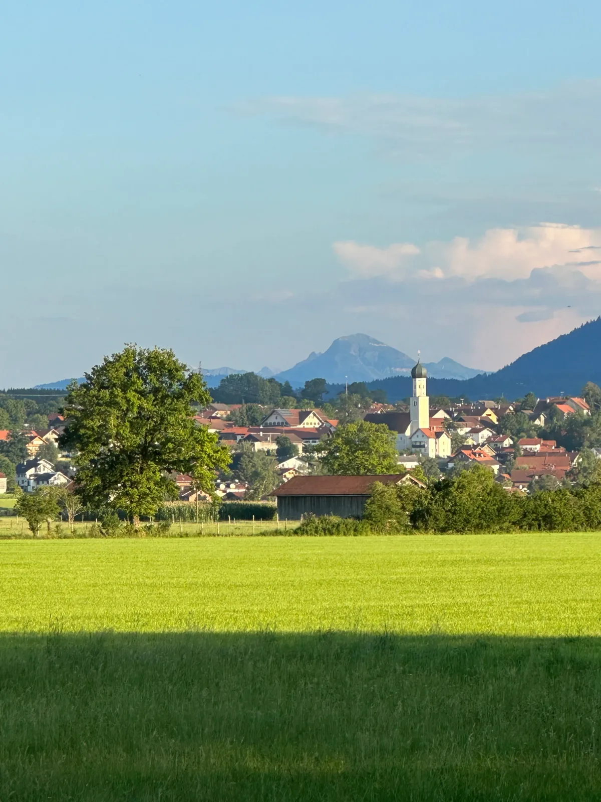 Blick über Königsdorf mit Kirchturm auf die Voralpen