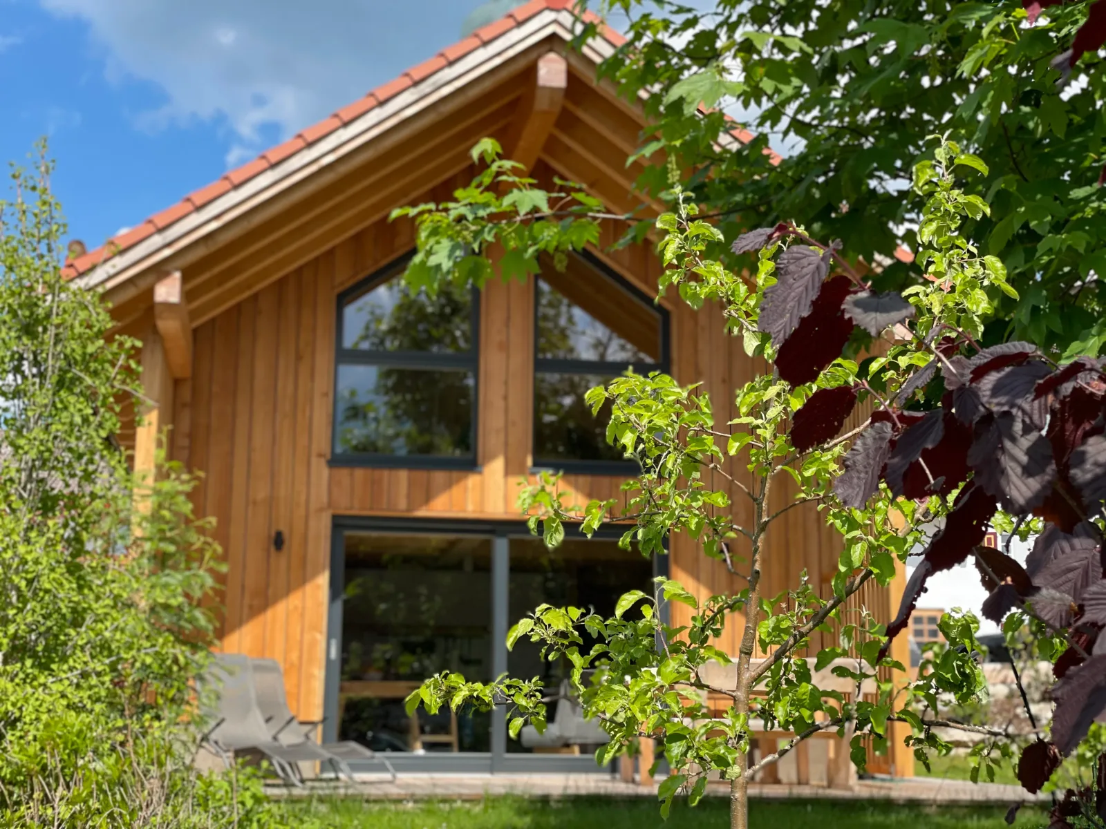 Lärchenfassade mit großen Giebelfenstern im Frühsommer