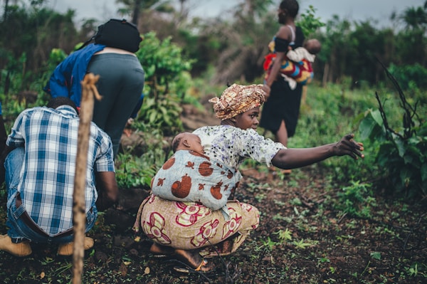 Women farming cassava in Sierra Leone