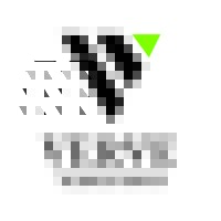 Verve Search Group