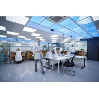 Luxury Watch Repairs