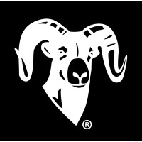 RAM Mounts