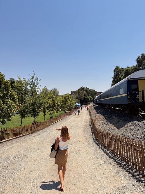 Woman walking on a gravel path beside a blue train on elevated tracks with green trees and a clear sky.