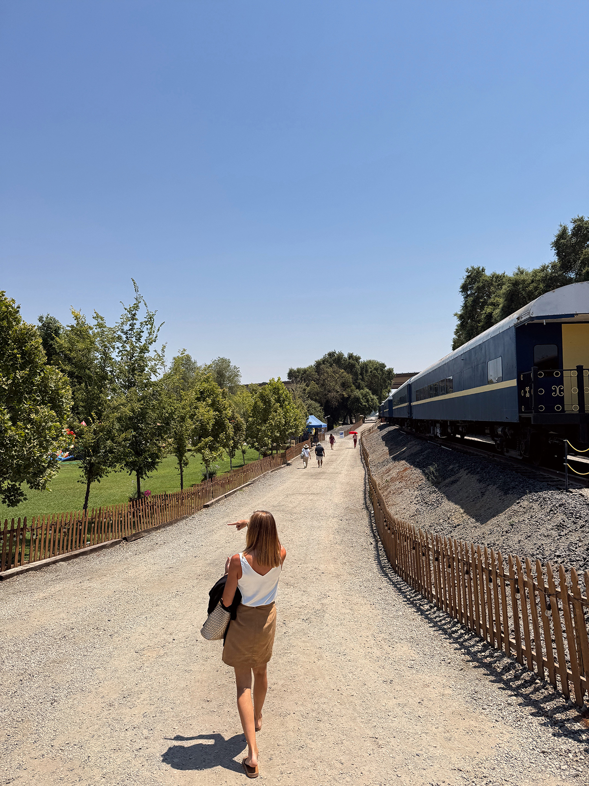 Woman walking on a gravel path beside a blue train on elevated tracks with green trees and a clear sky.