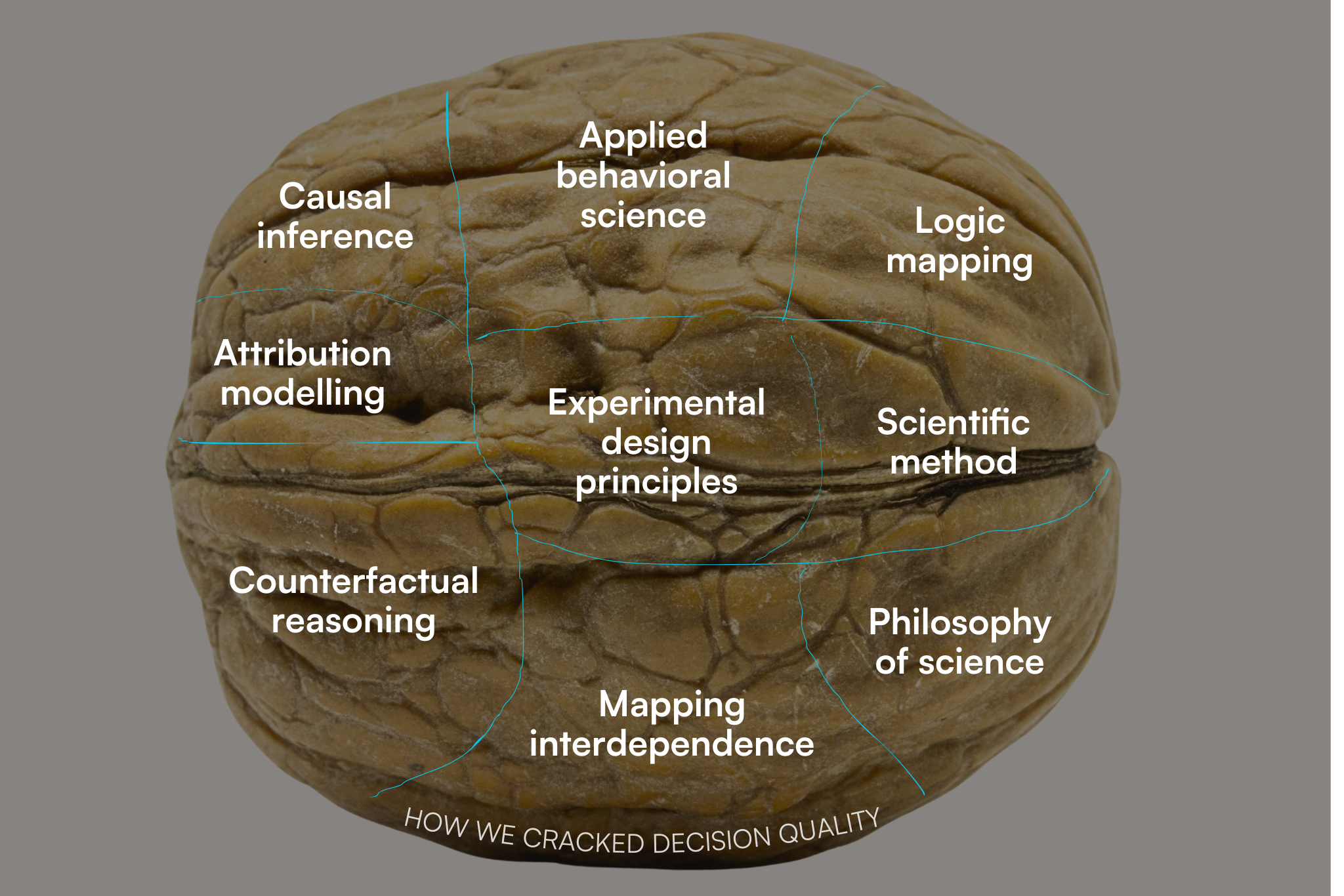 image of a walnut that has multiple science, math & philosophical areas of specialized knowledge on them with the label "how to crack decision quality"