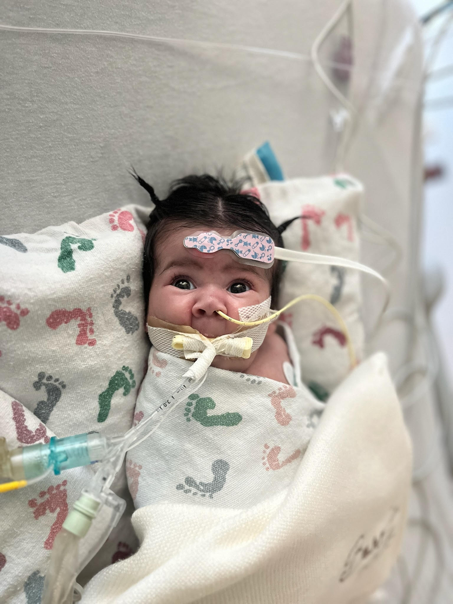 Valentina Parra Barojas