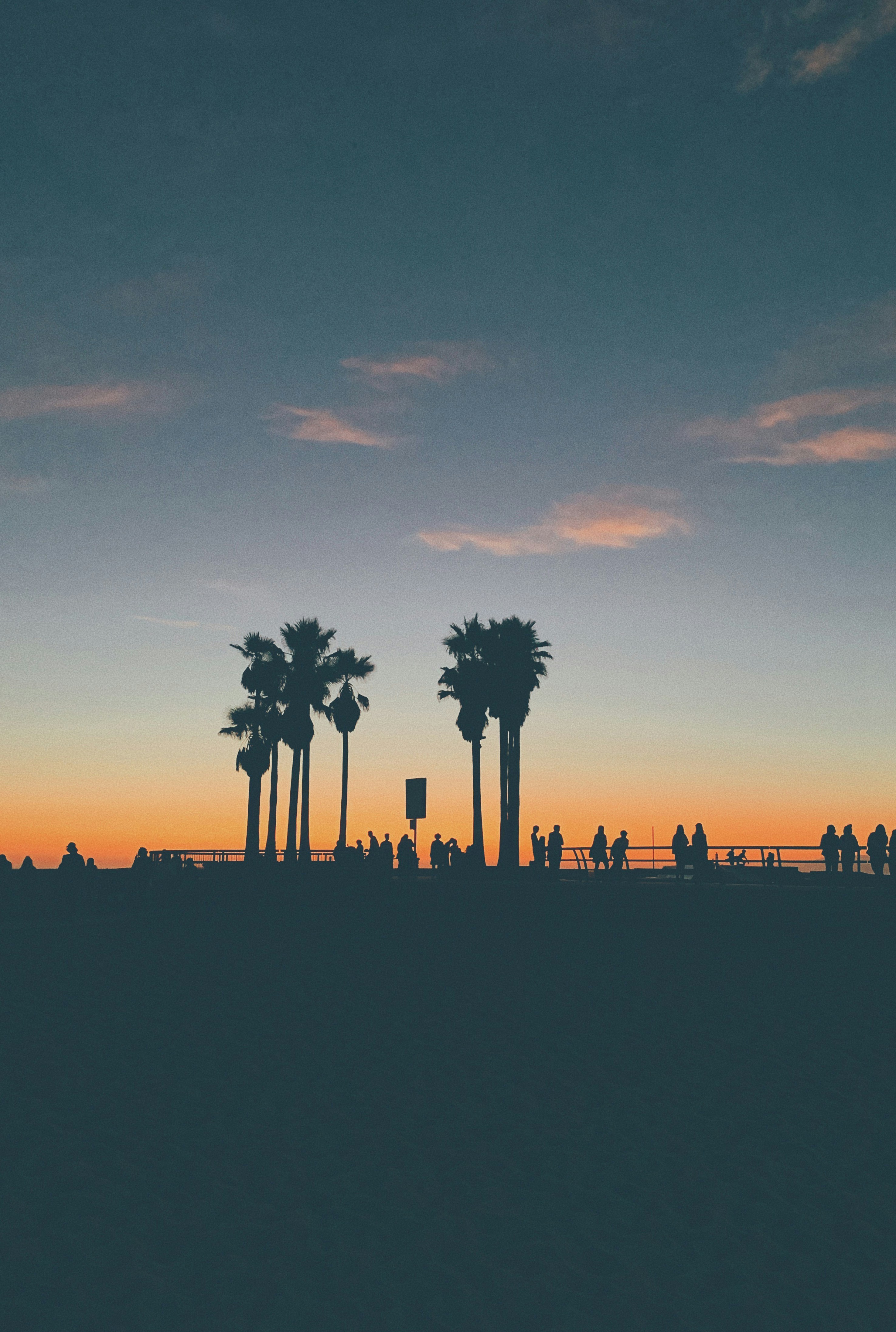 Venice Beach California skate park at dusk.