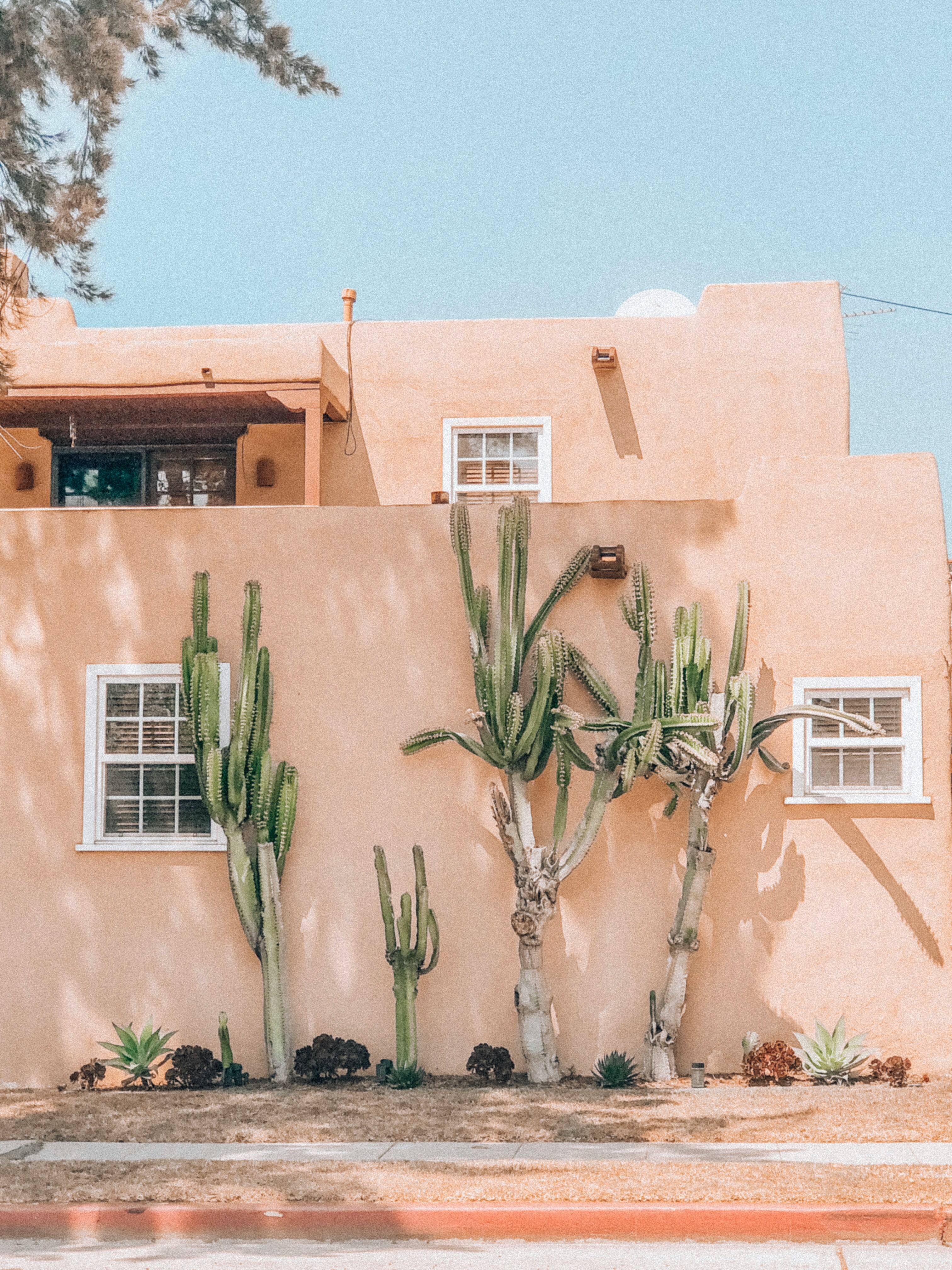 Pink house with cactus landscaping near Playa Vista, CA