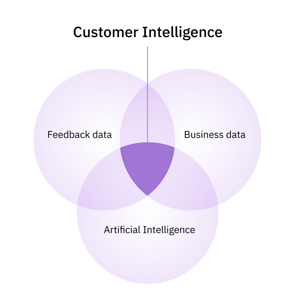 Customer intelligence definition diagram