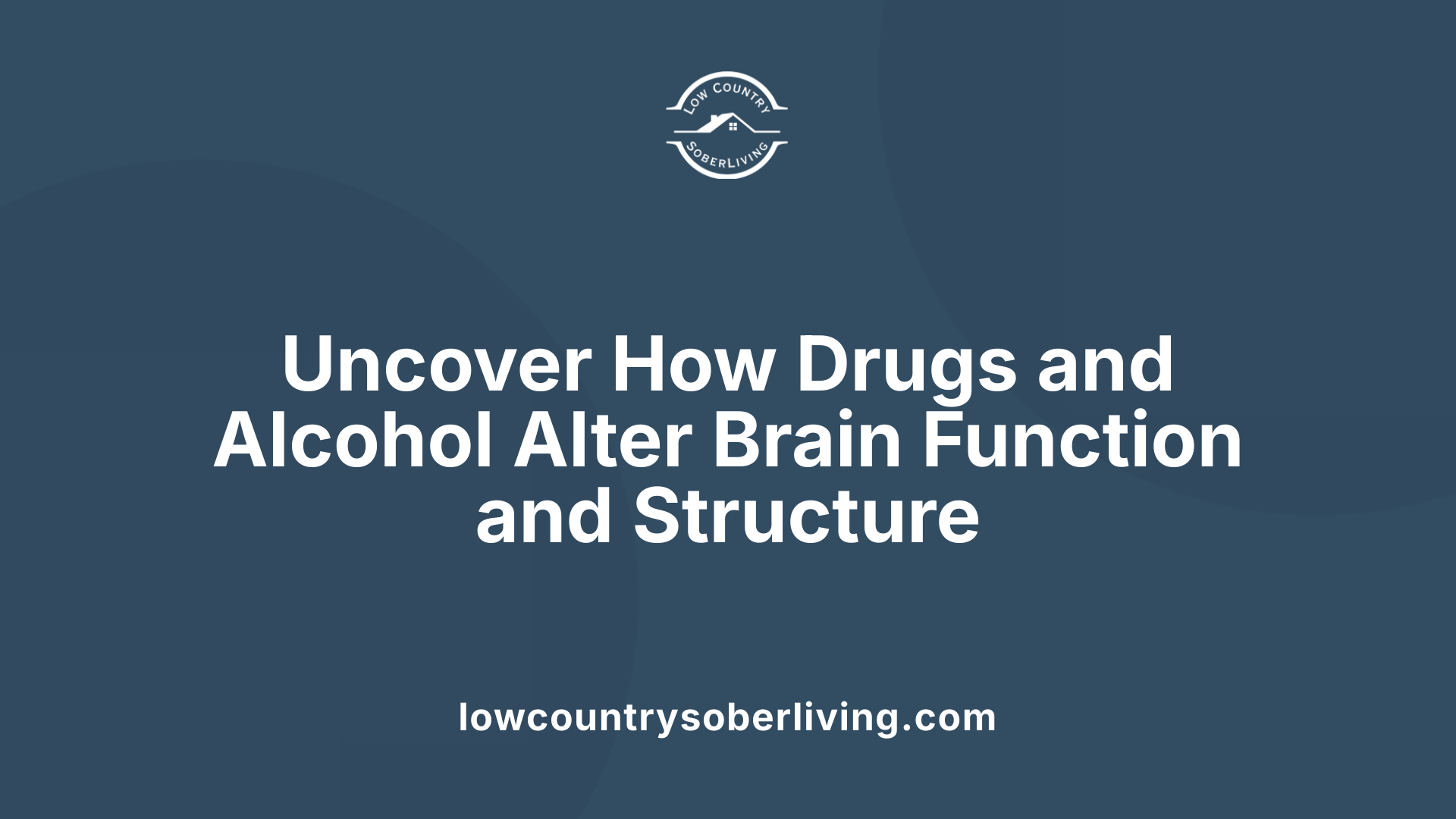 Uncover How Drugs and Alcohol Alter Brain Function and Structure