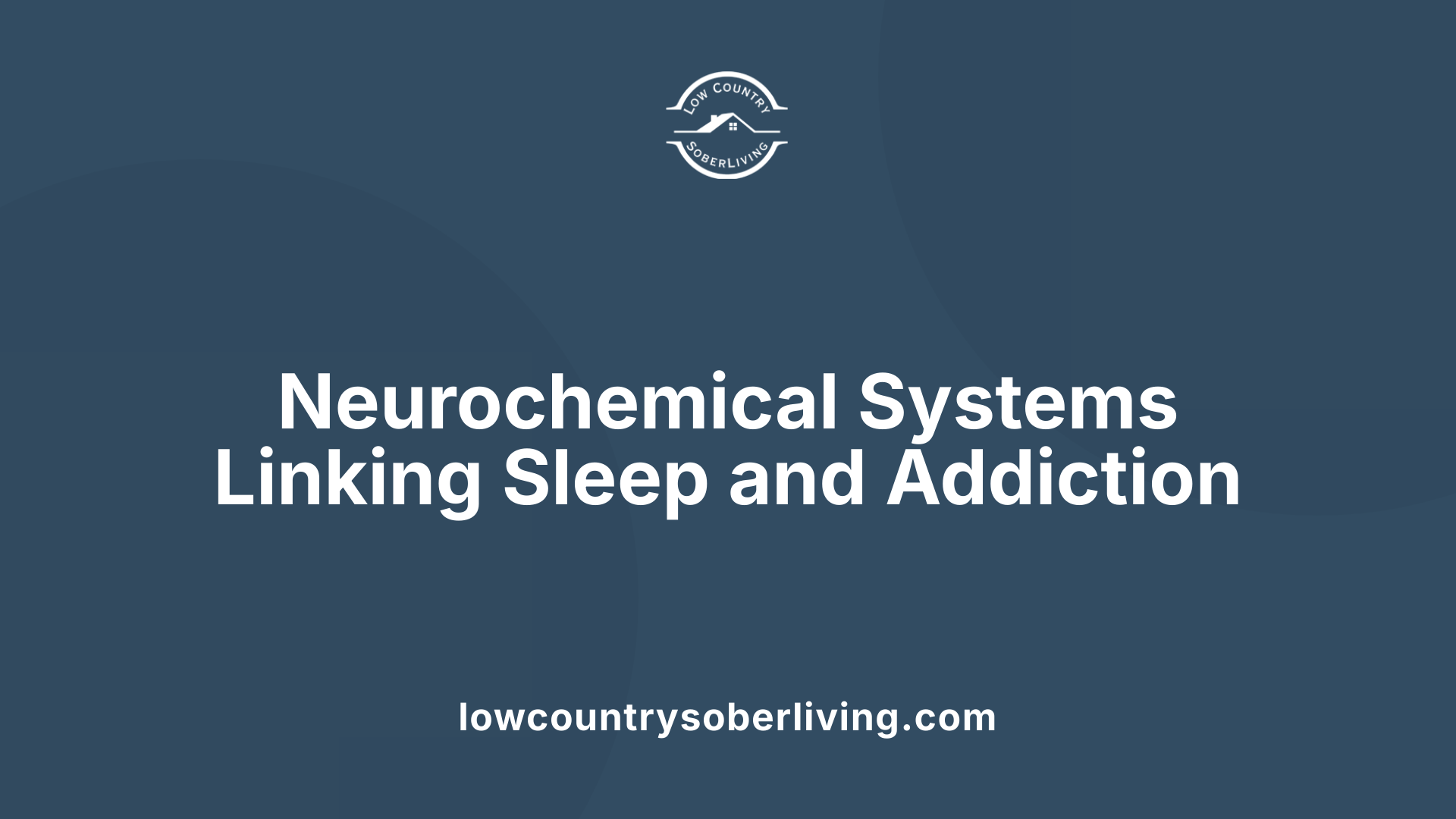 Neurochemical Systems Linking Sleep and Addiction