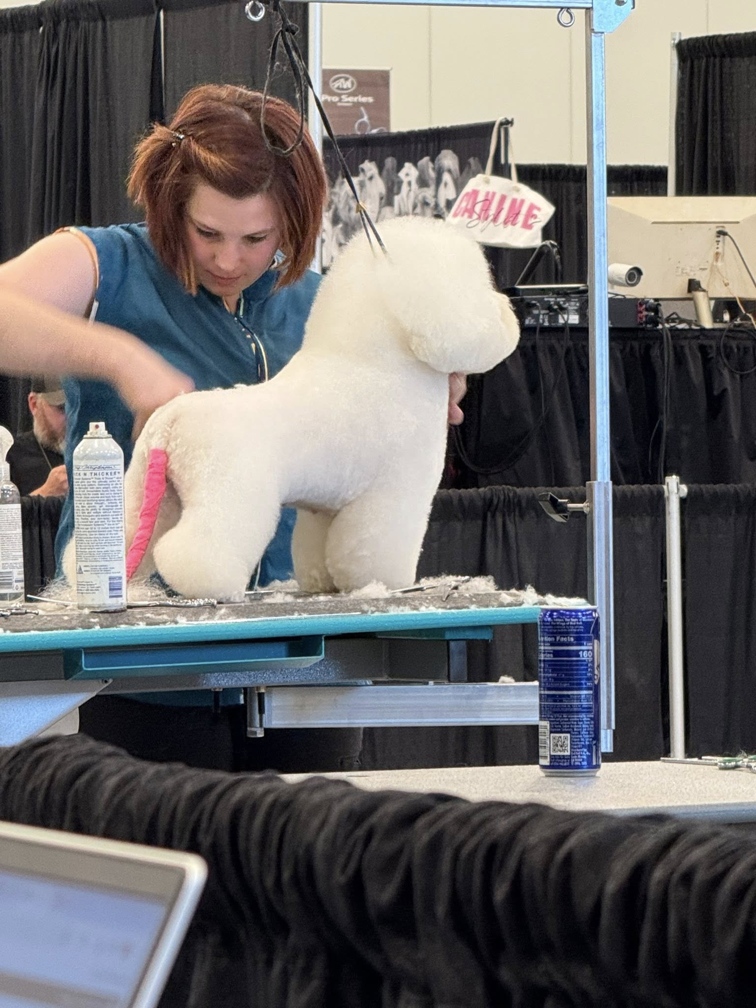 image of a dog enjoying a blow-dry session