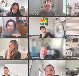 Screenshot of a Zoom call with the TigerEye team