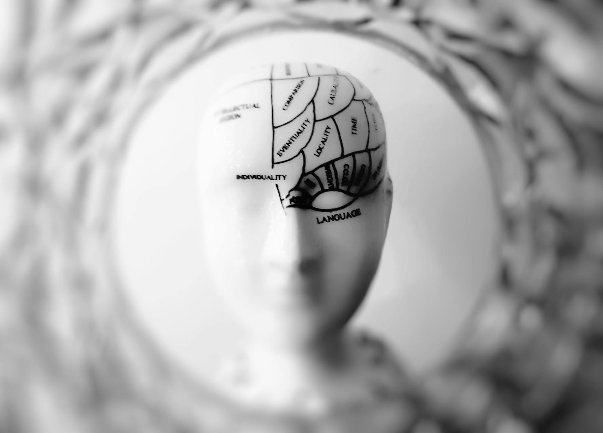 🧠 Brain Fog: What It Is, Why It Happens, and How to Clear It Naturally