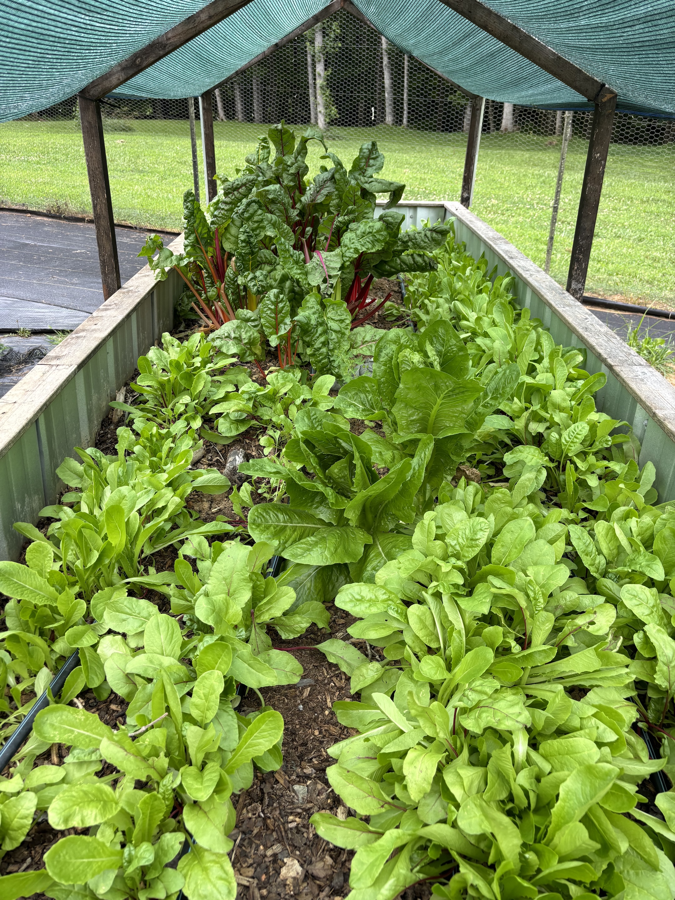 🌱 Fuel From the Ground Up – March - Nutrition Awareness Month -Week 1