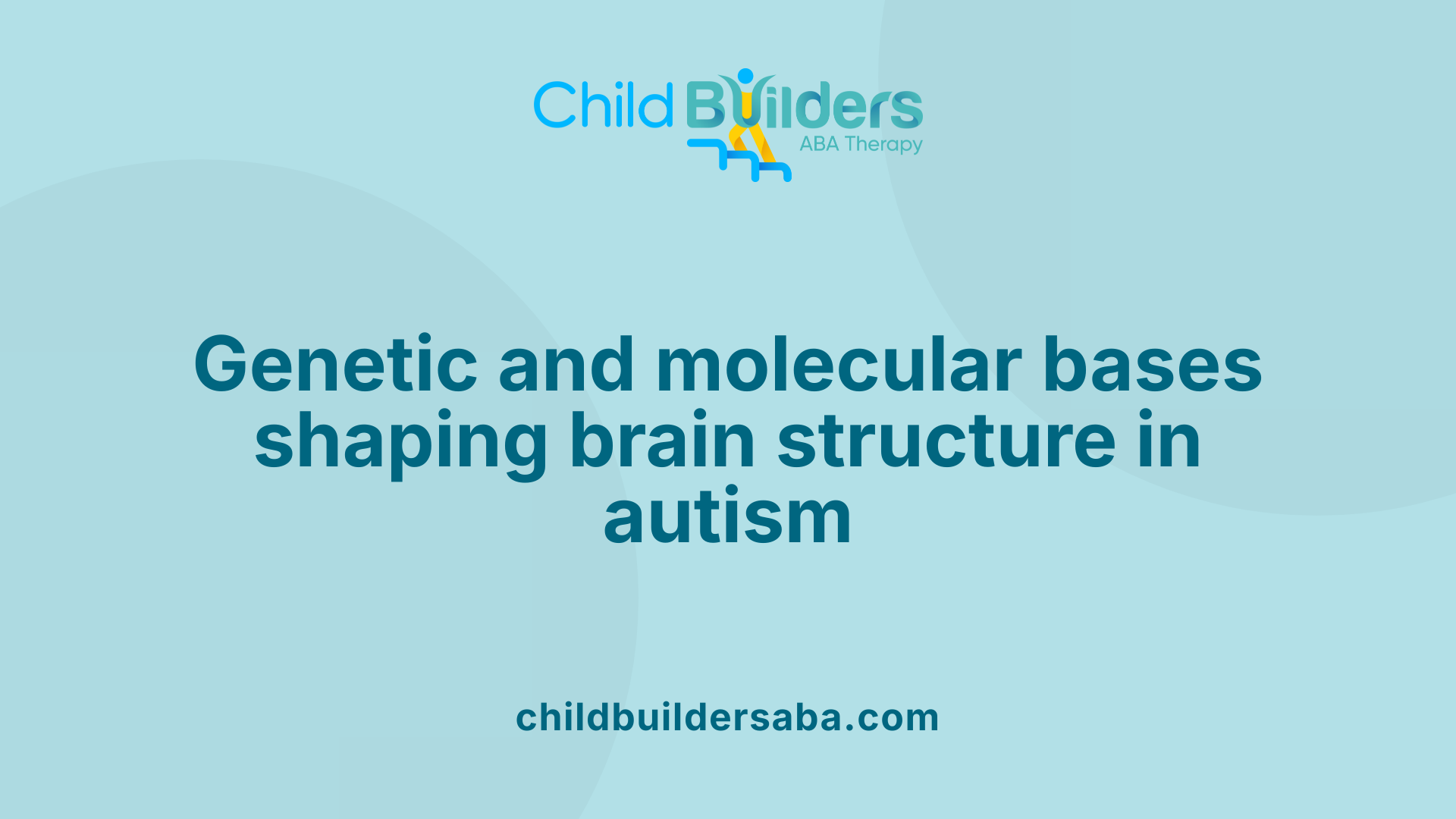 Genetic and molecular bases shaping brain structure in autism