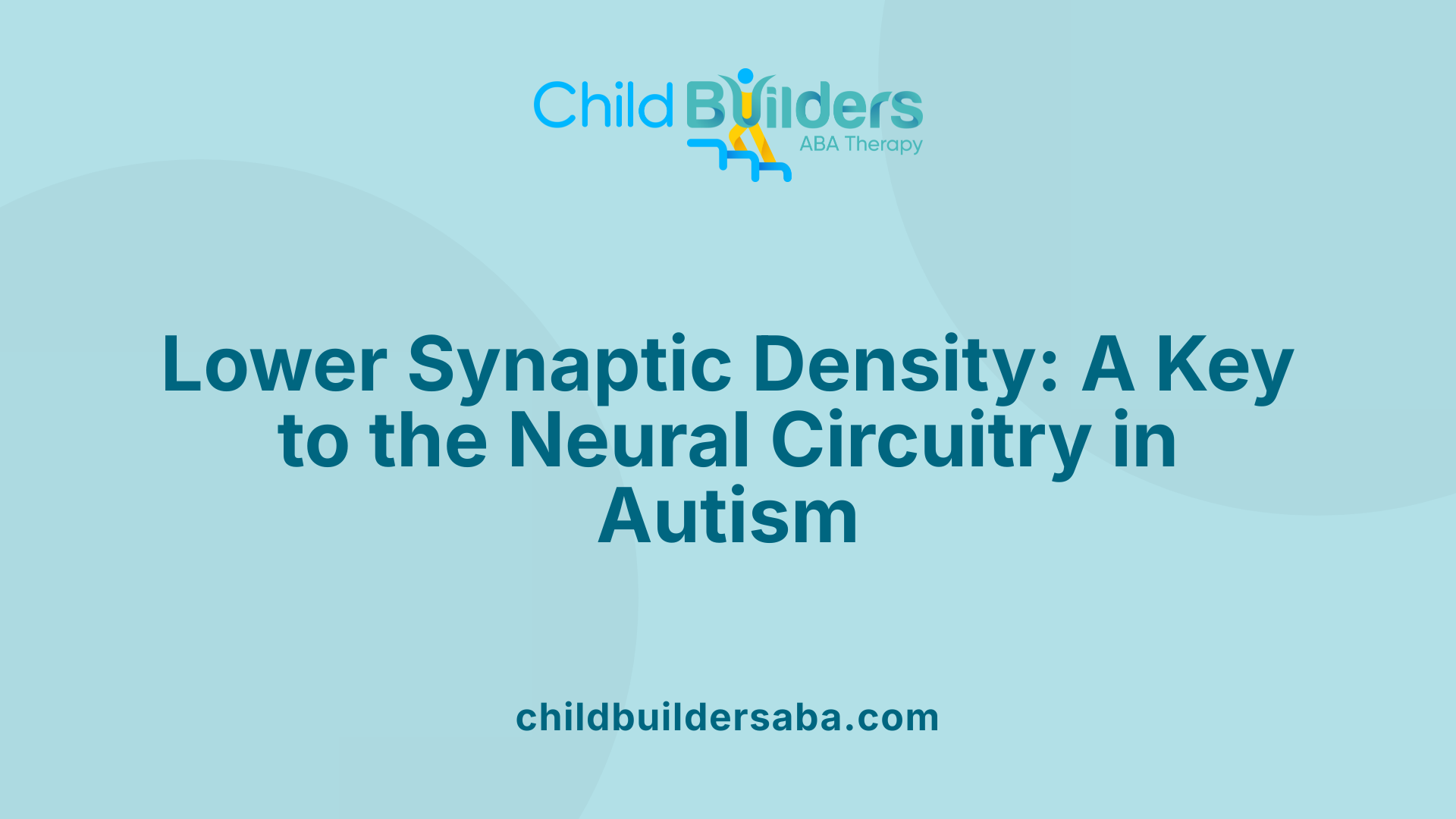 Lower Synaptic Density: A Key to the Neural Circuitry in Autism