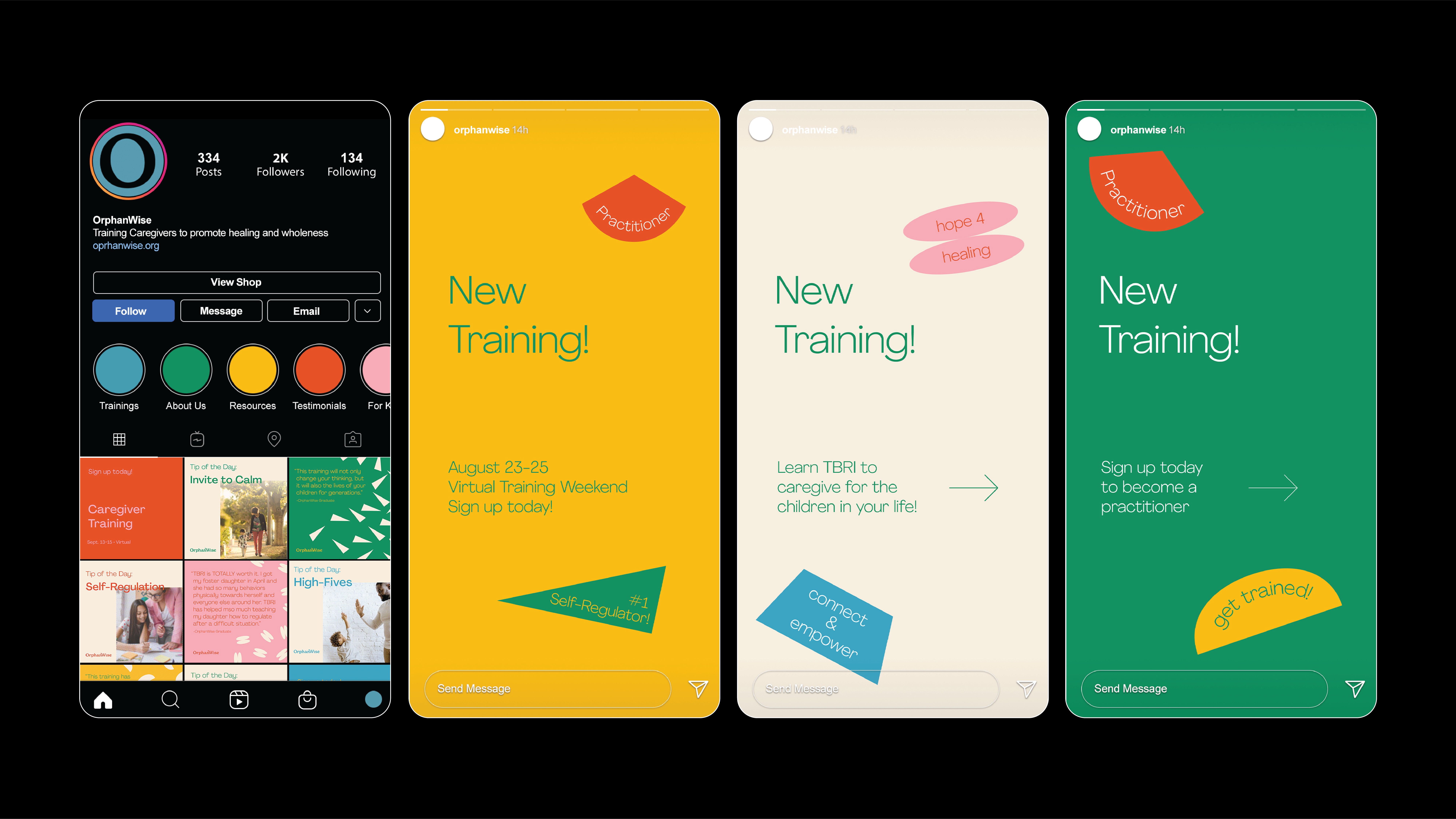 An image of the overview of OrphanWise's social media with the new brand colors, backgrounds, and stickers.