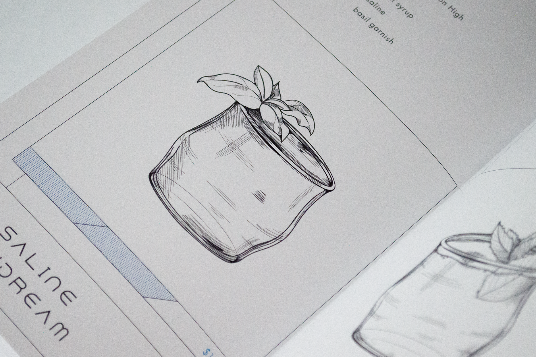 Detail photograph of the Saline Daydream illustration which els like a black and white line drawing.