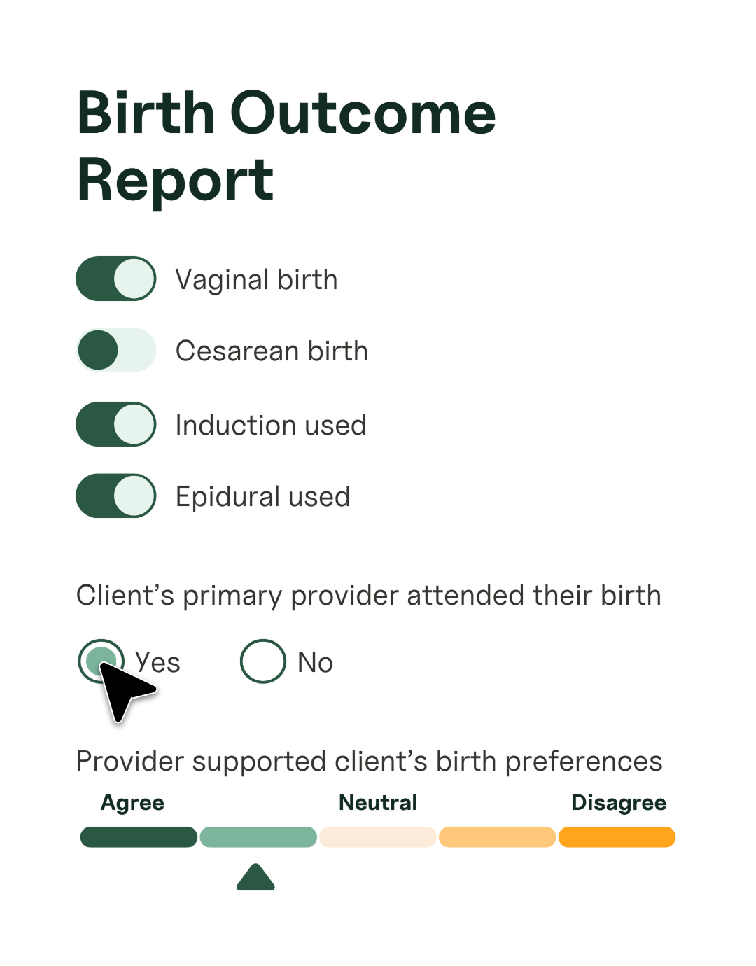 Birth outcome report form showing vaginal birth, induction, epidural use, and provider support rating scale