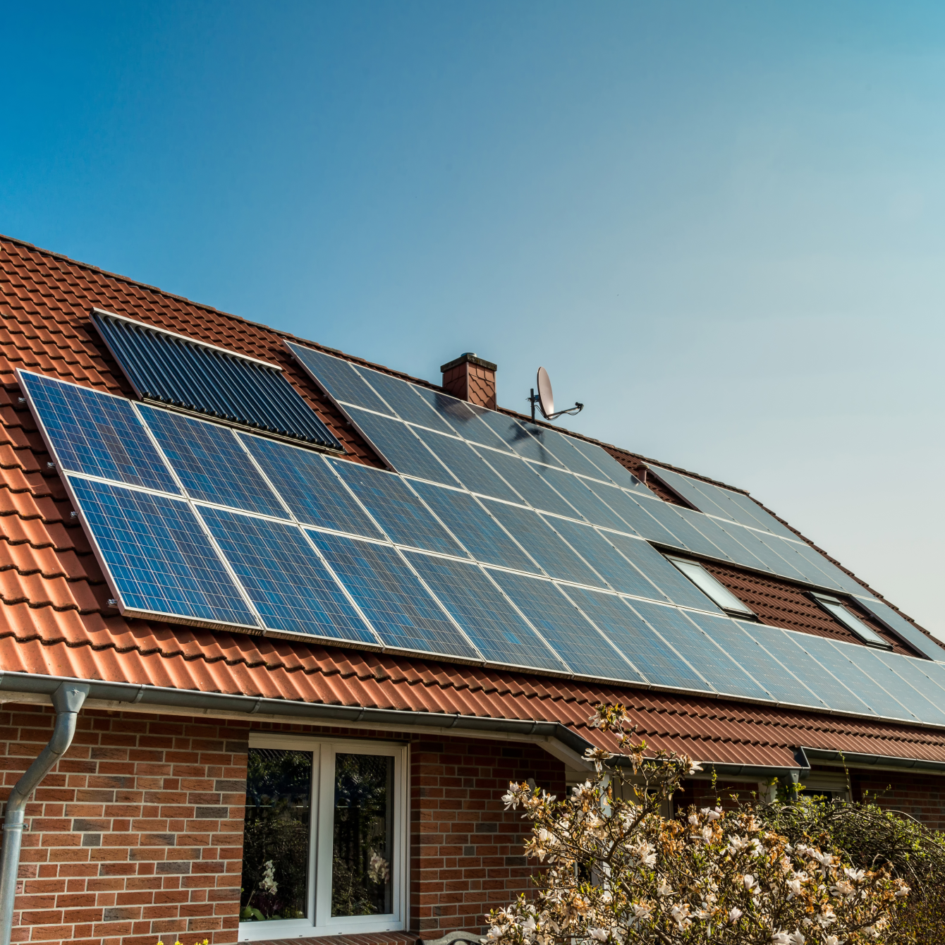 PV-Anlage reinigen